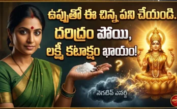 uppu pariharalu telugu
