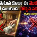 intlo penchakoodani mokkalu