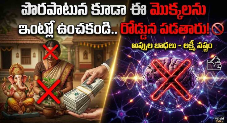 intlo penchakoodani mokkalu