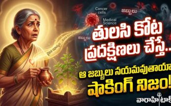 tulasi pradakshinalu prayojanalu