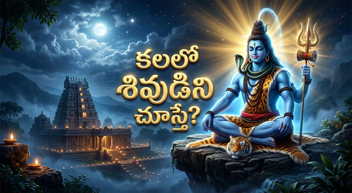 Shiva Dream